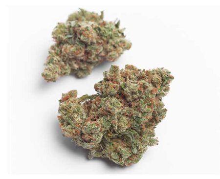 Haute Health Mendo Breath 8 Dollar Grams Cannabis Flowers