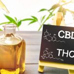 CBD vs THC: Why Do You Get High From THC, But Not From CBD?