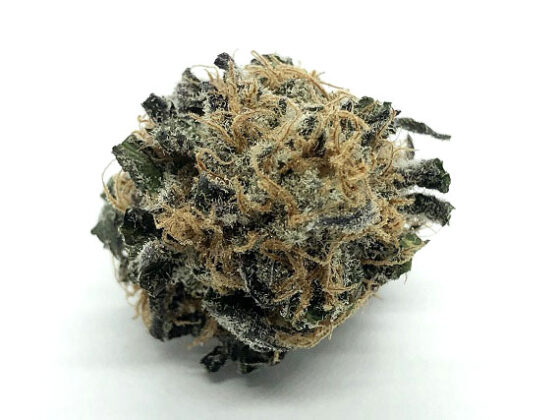 Koffee Force - Indica Dominant Hybrid