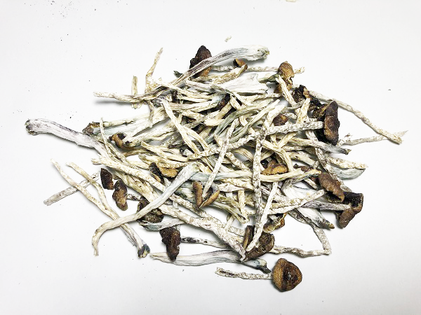 Chetwin Nepal - Dried Psilocybin Mushrooms - 3.5gr