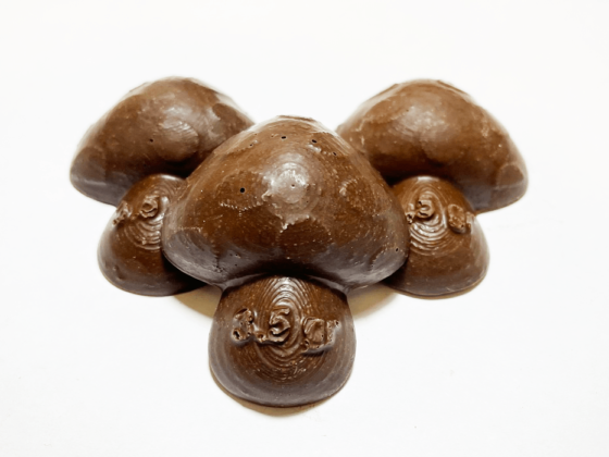 3.5 Gram Chocolate Psilocybin Magic Mushroom