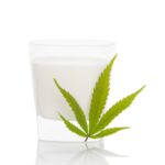 What Is Hemp Milk & How To Make It