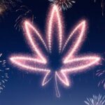 6 Awesome Weed Party Ideas