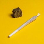 Differences Between Weed & Hash